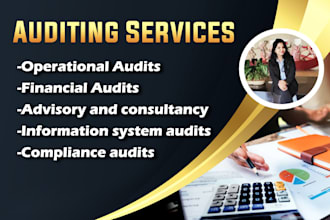 provide internal audit, due diligence , forensic audit services