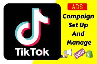 create, run and manage tiktok ads campaign, tik tok ads, tiktok advertising