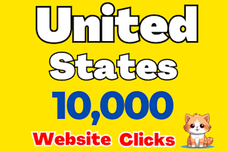 drive real premium USA targeted website web traffic