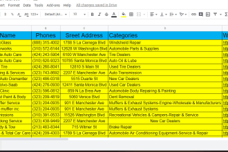 do data entry, data mining, data extraction and copy paste