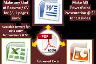 do data entry, make presentation, CV and article