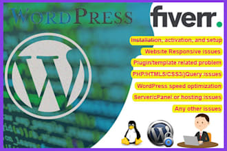 setup and fix any issues of wordpress