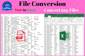 excel data entry, PDF to excel, CSV in 12 hours