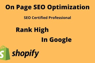 do professional onpage SEO and website ranking