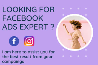 setup and manage facebook, instagram ads campaign