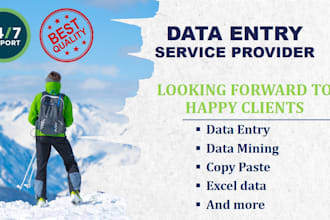 do any data entry job up to clients satisfaction