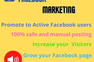 do facebook promotion to 100k audience for any business