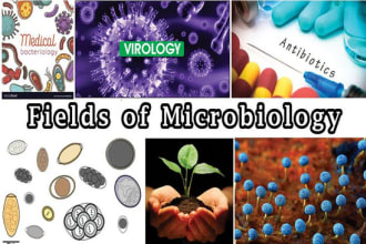 assist you in microbiology, bioinformatics and molecular biology