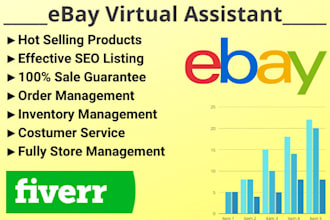 be your expert ebay virtual assistant, VA for ebay
