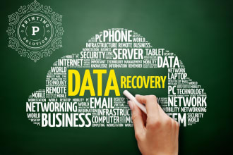 provide expert data recovery for most important files 12 hr