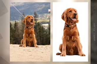cut out images background removal professionally
