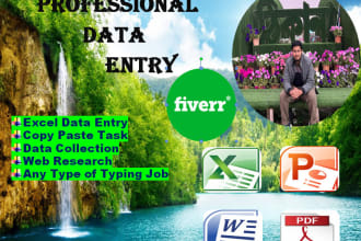 data entry typing work, data collection and copy paste job