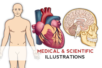 do anatomy, medical and scientific illustrations and diagrams