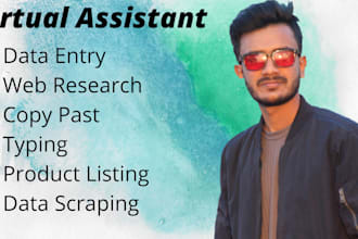 data entry data collection copy paste web research