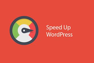 do wordpress speed optimization google page speed score will be 90 plus
