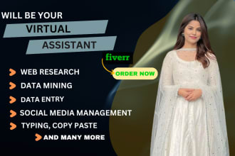 be your virtual assistant for data entry, data mining, typing and web research