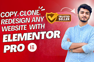 design redesign clone website using elementor pro