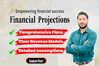 craft investor ready financial plan, forecast and model