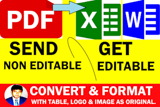 convert pdf to word, ms excel data  entry typing, retyping, copy paste