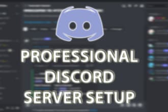 setup professional discord server with best design