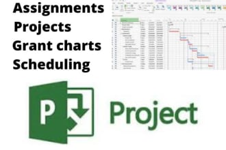 do your project management proposals reports on the ms project