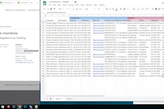 do data entry, scrapping, lead generation and web research