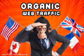 drive USA and europe visitors, niche targeted, organic web traffic