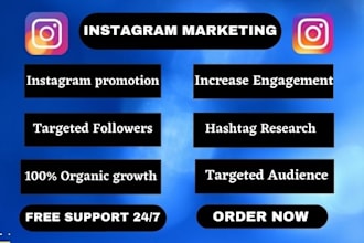 setup instagram promotion  for organic growth