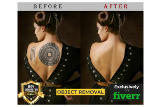 add or remove object, person, and tattoo from your photo