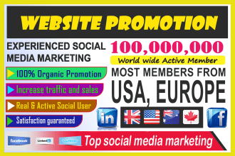promote and advertise website, product, discord, and nft project on social media