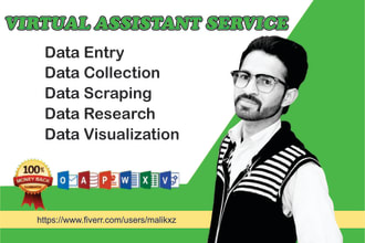do data entry typing work,data collection and copy paste job