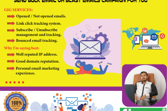 send bulk email or blast emails campaign for you