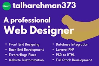 design the responsive professional website