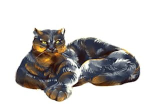 paint or draw animals or animal characters