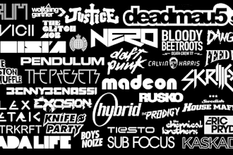 custom dj, band, music, artist, edm, pop artist , dj logo design