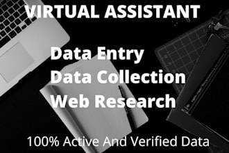 do fast excel data entry and web research , admin support