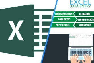 do excel data entry, web research, data entry, copy paste