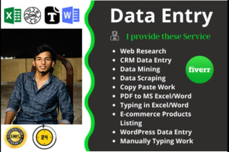 do data entry, typing work on ms word, excel sheets, ppts