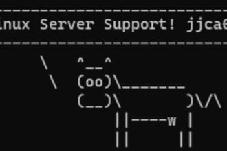 support with linux,vps,web,dns,email servers