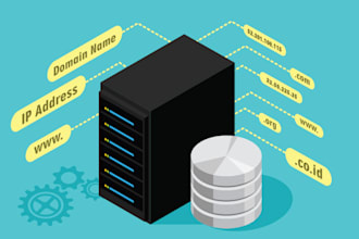 help you with dns