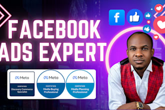 be your facebook ads manager and run fb and ig campaigns