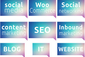 writing, SEO oriented content, articles, blog contents and more
