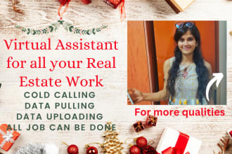 be your USA real estate VA virtual assistant get all the admin work done