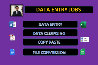 do perfect data entry, clean data, copy paste, typing jobs and merge data