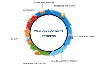build asp net mvc ,asp net core professional web application