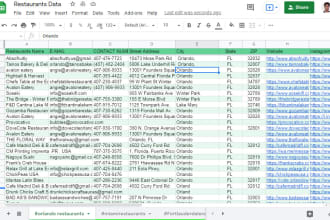 do excel google sheet specialist and b2b leads perfect man