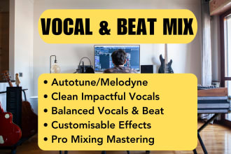 professionaly tune and mix master your vocals to a beat
