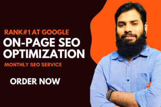 do monthly SEO service package, onpage and manual backlinks