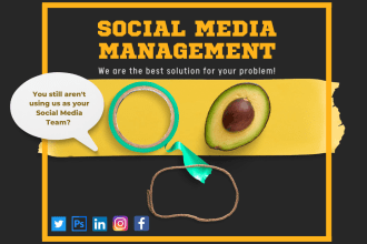 be your digital marketing manager and social media marketing manager