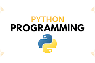 do python projects for you